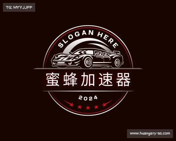 关于蜜蜂加速器